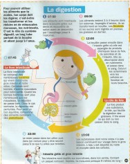la digestion